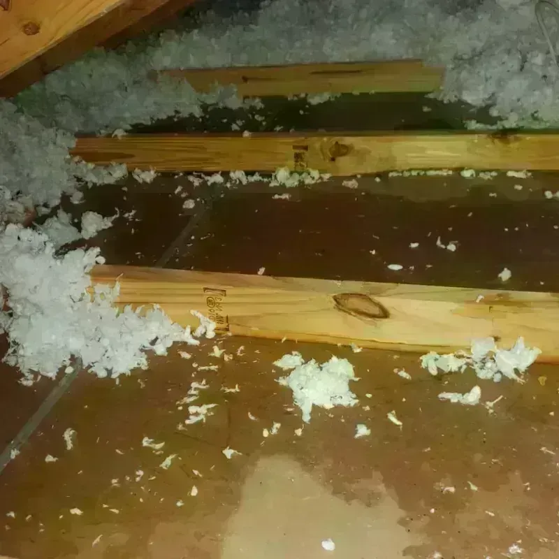 Attic Water Damage in Hall Park, OK