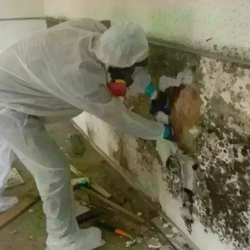 Mold Remediation and Removal in Hall Park, OK